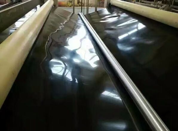 ˮڸFеđ